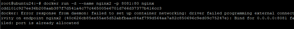Ошибка при публикации занятого порта в Docker