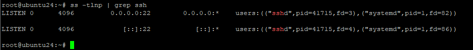 Просмотр портов, которые прослушивает SSH
