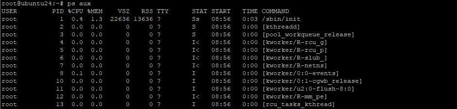 Вывод команды ps aux