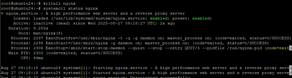 killall nginx пример