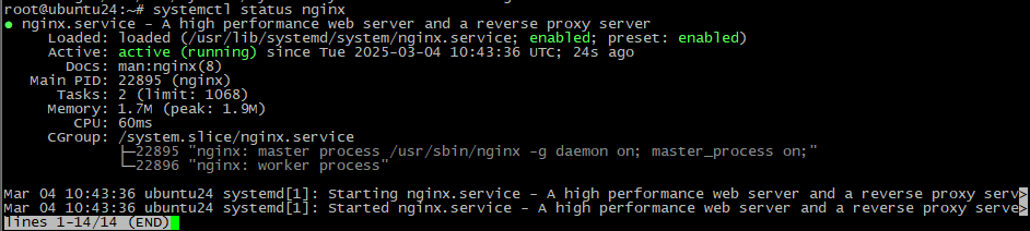 Статус Nginx