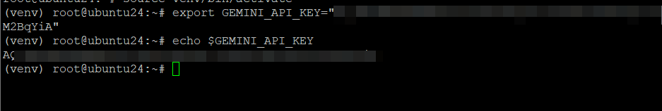 Проверка переменной окружения GEMINI_API_KEY